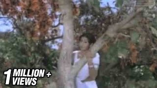 Sendoora Poove Video Song | 16 Vayathinile | Sridevi, Kamal Haasan | Ilaiyaraaja | S. Janaki chords