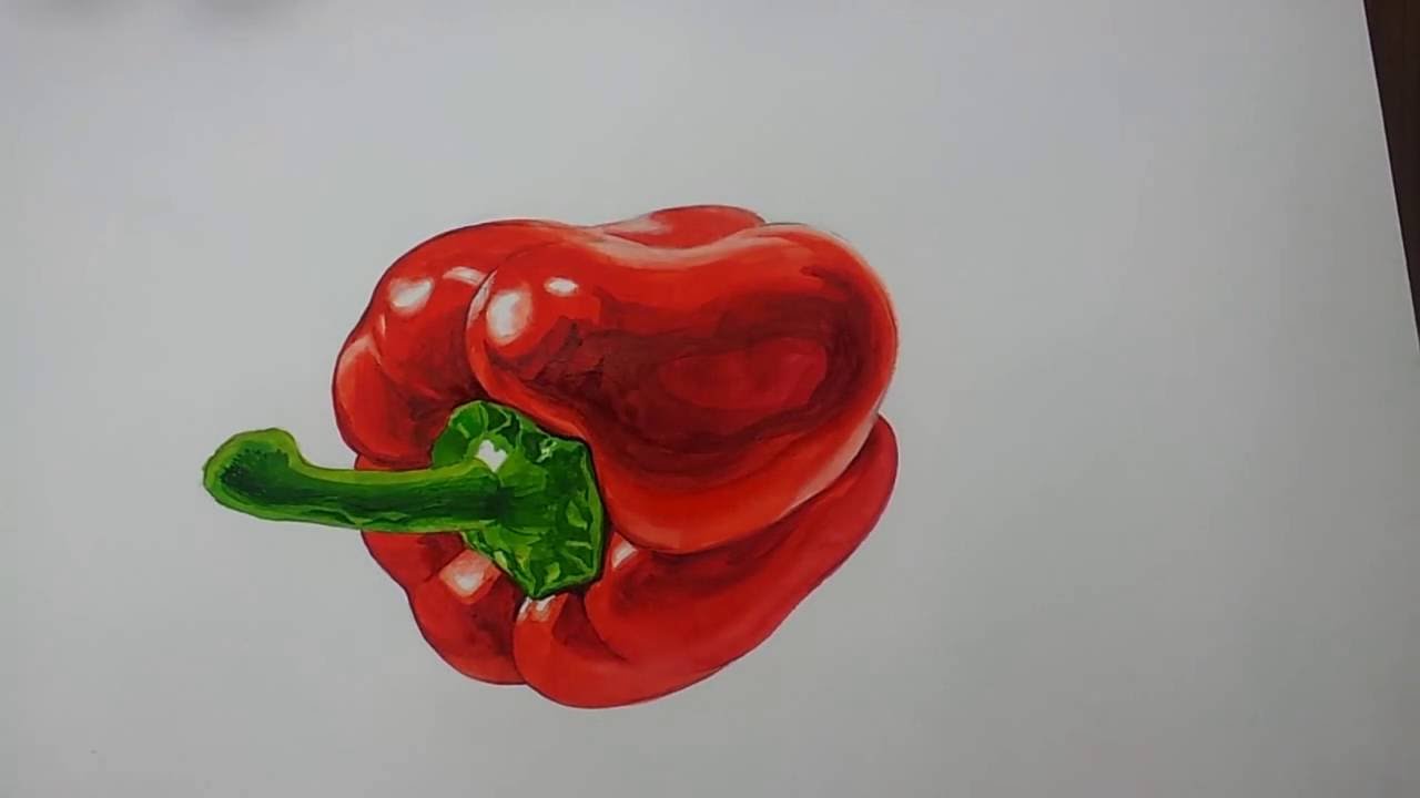 파프리카그리기 수채화 개체표현 paprika YouTube