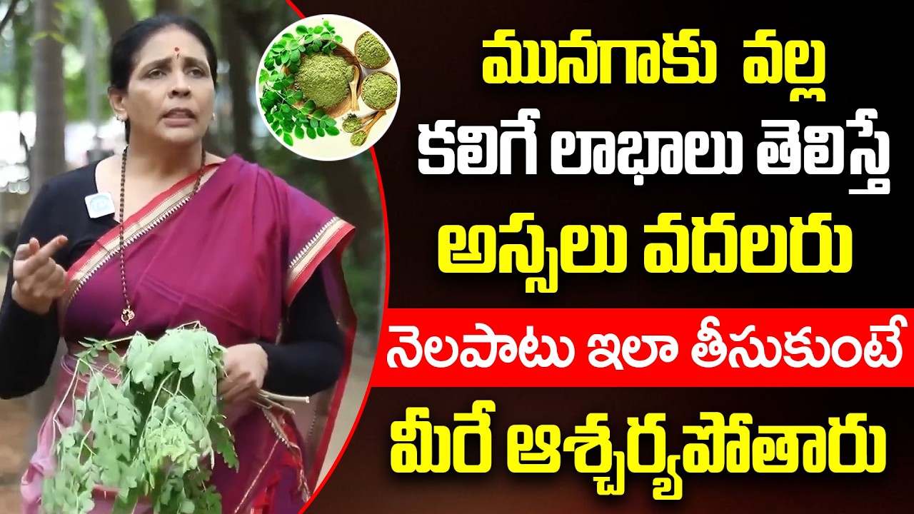మునగాకు వల్ల కలిగే లాభాలు తెలిస్తే వదలరు | Aruna yoga About Moringa Benefits in Telugu | Munagaku