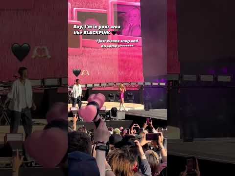 Boy I M In Your Area Like Blackpink Sabrinacarpenter Blackpink Nonsenseoutro Bsthydepark