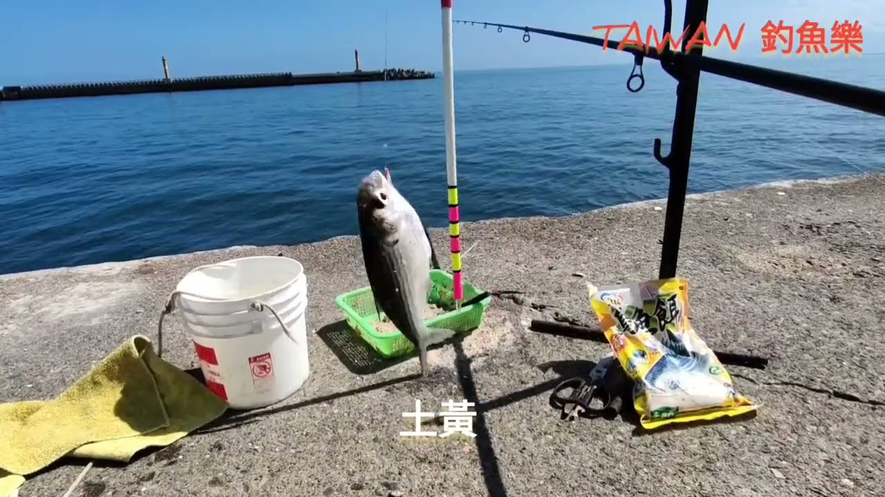 TAIWAN 釣魚樂-烏石港釣什麼魚？北堤開放釣魚-北臺灣獨門釣法-魚都能釣上岸