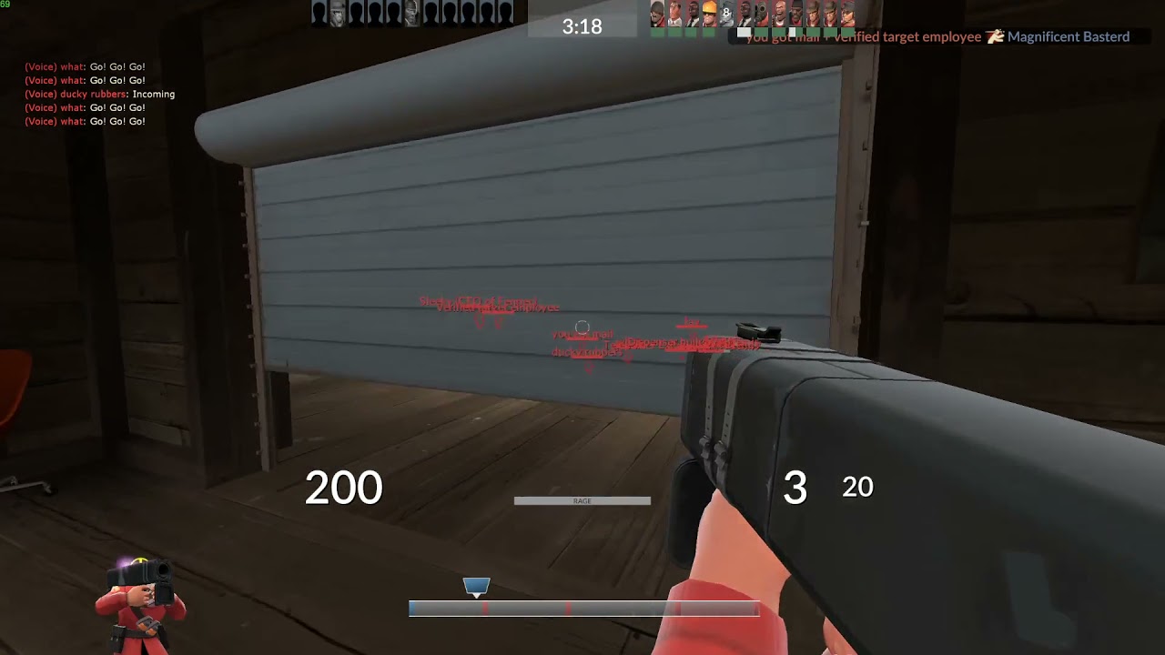 You Will Stand Next To PAINUS [TF2]