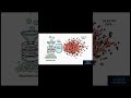 The Interview Classic: IEnumerable vs IQueryable in 60 Seconds! 🚨#dotnetcore #shorts