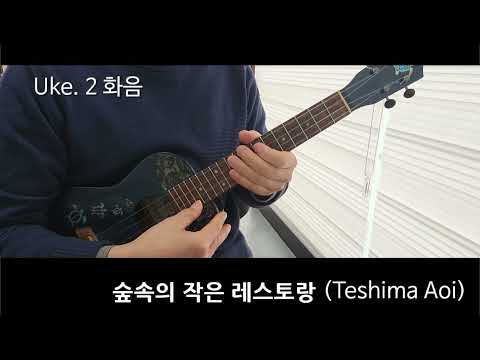 숲속의 작은 레스토랑 (합주곡) - Teshima Aoi