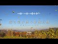 途中広告なし【Playlist】落ち葉が舞う秋風の朝 | 作業用BGM | Chill & Relax
