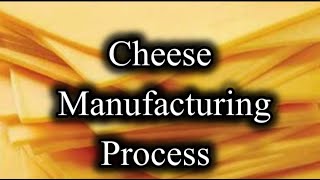 Cheese Manufacturing Process | Flowchart of cheese manufacturing