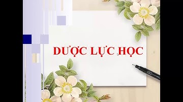 Dược lý 1 - B3.2 - Dược lực học (Phần 2) + Tương tác - Pharmacodynamics & Drug interactions