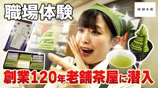 美しいお茶の魂　〜玉露はこうして発明された〜 mqdefault.jpg