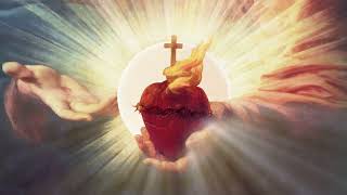 St. Carlo Mobile App Launch screenshot 1