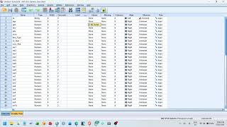 Data entry in SPSS