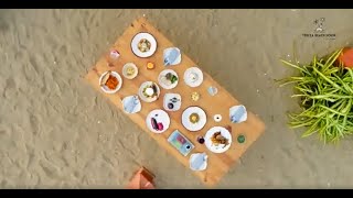 Dining At Tereza Beach House Mindshift Studios