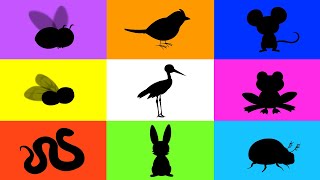 Zwierzęta dla dzieci - Na łące - Odgłosy zwierząt screenshot 5