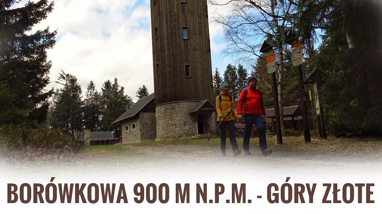 Borówkowa 900 m n.p.m. - Góry Złote