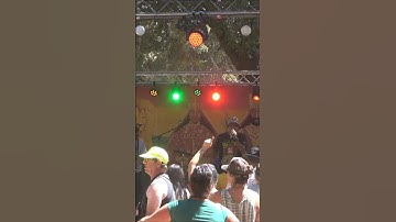 Ishi Dube • Reggae on he River 2025