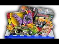 HUGE Transformers: War for Cybertron &amp; Beast Wars Collection | T-Rex, Velociraptor, and More!