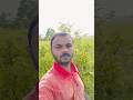 তুই তুই আমার দিলের রানী রে #shortvideo #vairl #subscribe #new #funny #sad #lovestory