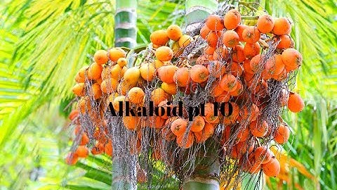 pharmacological activity of vinca alkaloid