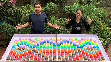 Puzzle sort ball game solve and challenge very fast