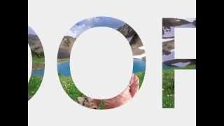 Sariyan tu sony ni tu full song hd