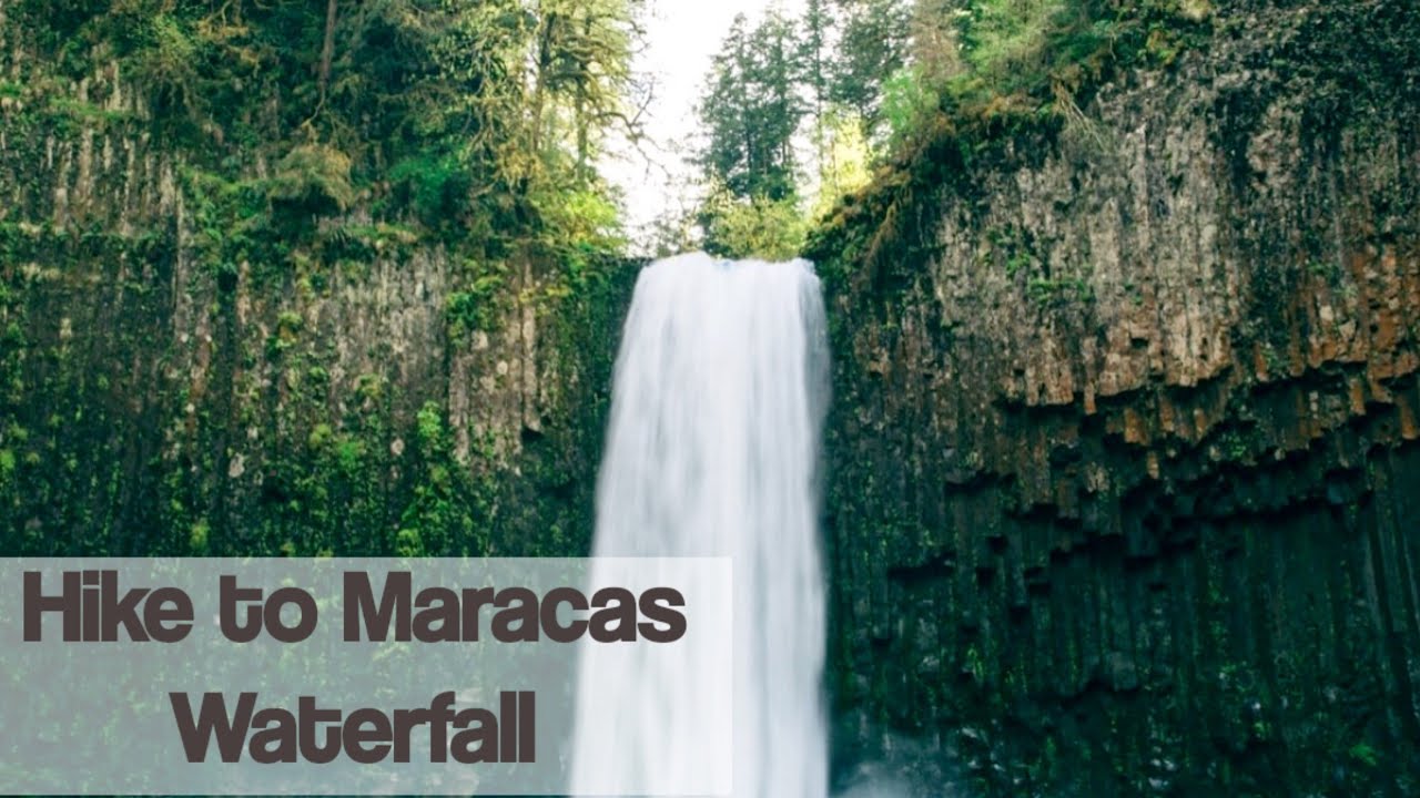 Hike Trinbago Maracas Waterfall in Trinidad YouTube