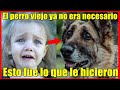 El perro viejo ya no era necesario, ¡No creerás lo que le hicieron!