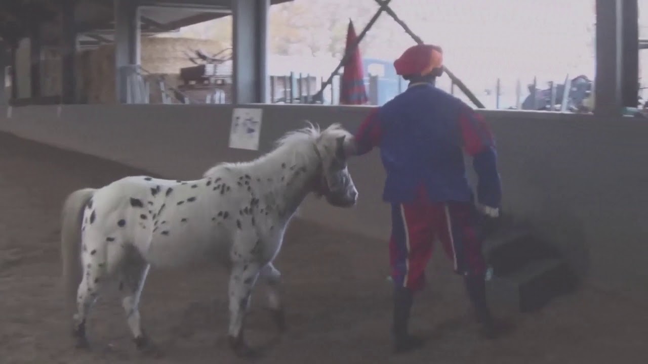 Het mysterie van het verdwenen gouden hoefijzer.