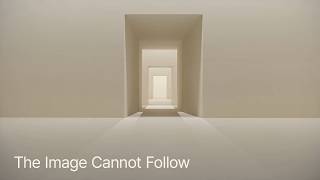 Study No.8 — The Image Cannot Follow