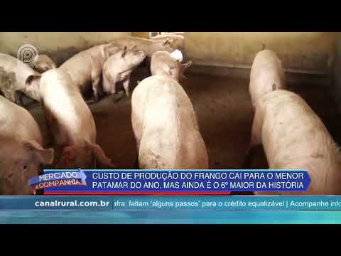 Custos de produção de frangos caem, aponta Embrapa - Mercado & Cia - 14/07 |Canal Rural