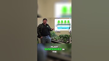 Ebb & Flow Hydroponics  Grow Plants FASTER!