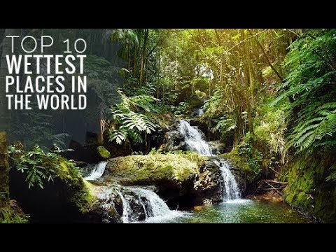 Top 10 Wettest Places In The World - YouTube