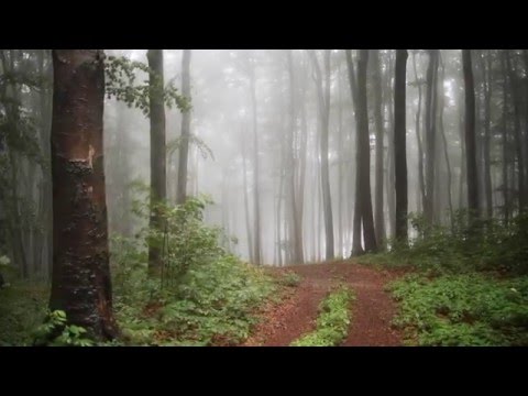 Relaxing Music - My Compositions & Improvisations