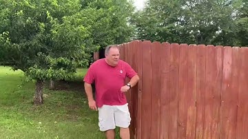 Sports Chat with Neal and Wally | November 9th, 2025