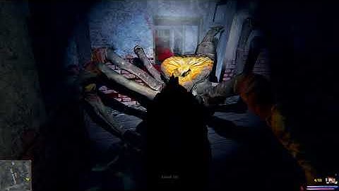 S.T.A.L.K.E.R. Clear Sky - Arachnophobics