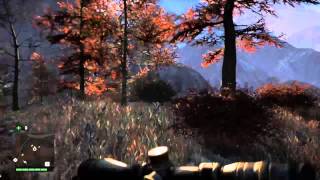 Far Cry 4 quick scope