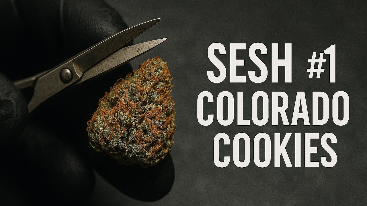 BOLANDO E DEGUSTANDO ESSA FLOR 🍪🔥 | Sesh OG #1