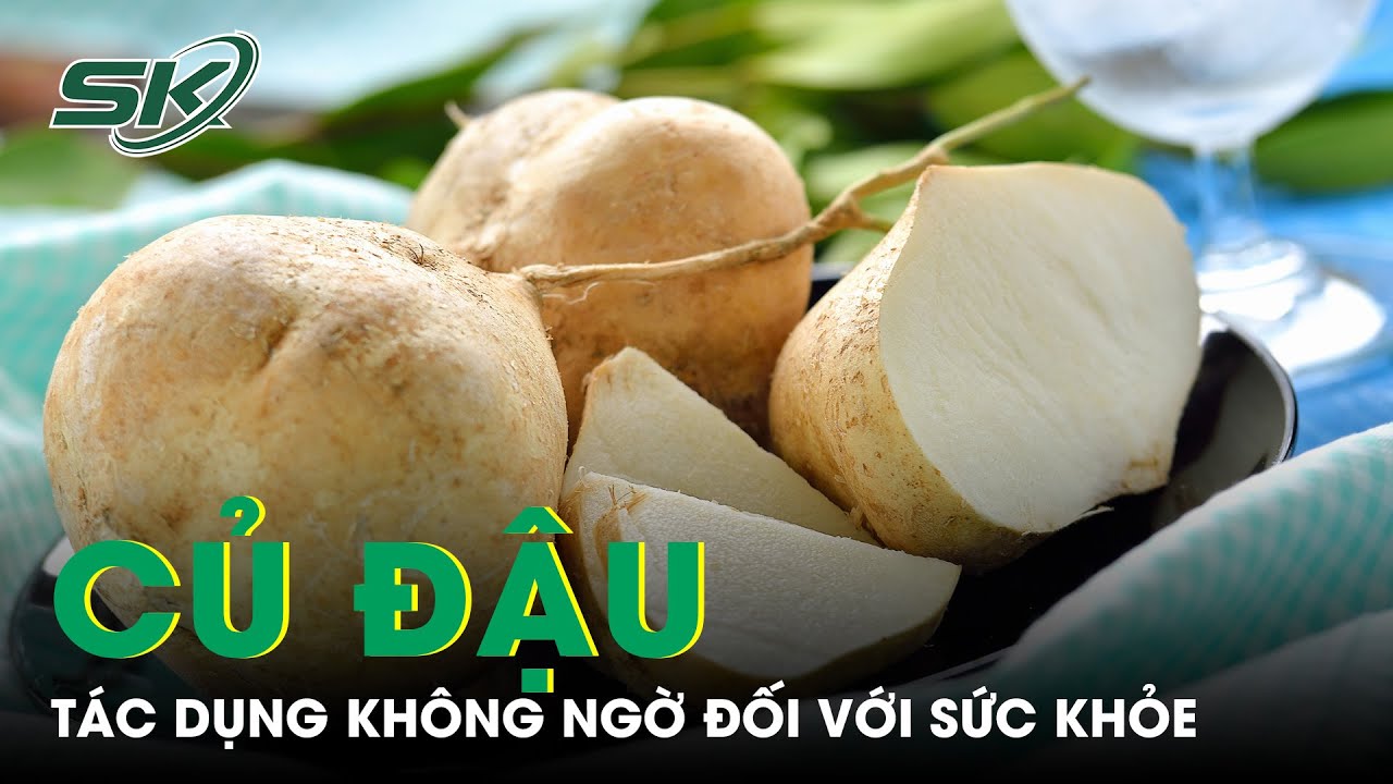 Tác Dụng Của Củ Đậu Đối Với Sức Khỏe | SKĐS