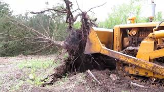 The Mighty 1941 Cat D2 5J Versus The Tree