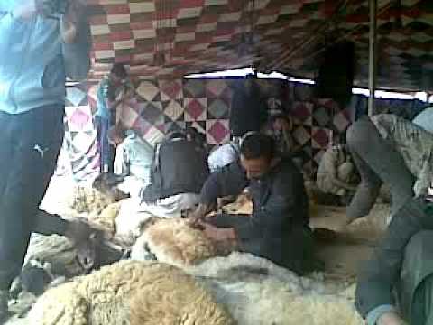 حميد التناكه