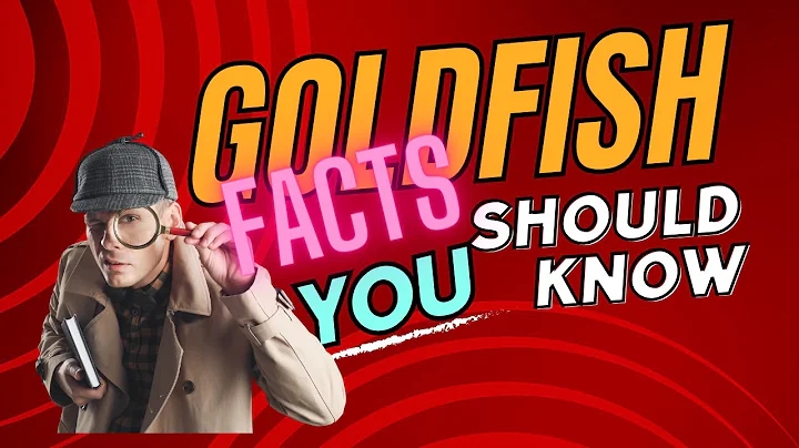 Goldfish's Secret: Debunking the 3-Second Memory Myth