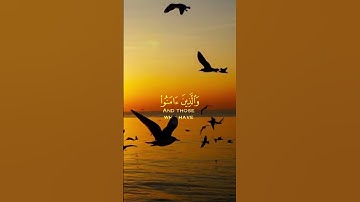 كل نفس ذائقه الموت ثم الينا ترجعون ,  [ سوره العنكبوت: 57 ] عبد الرحمن مسعد