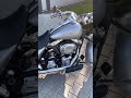 2004 Harley Davidson Road King for sale