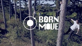 B2M – out of the woods