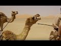 Deserted by desert camels  ben  james versus the arabian desert  bbc