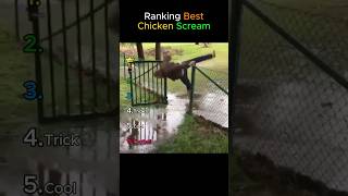 Ranking Best Chicken Scream #fail #funnyvideo #ranking
