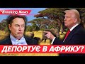 🤬Маск ЗНОВУ РОЗІЗЛИВ Трампа🤯 Грозиться ДЕПОРТУВАТИ в АФРИКУ! | Незламна країна 01.7.25 |5 канал
