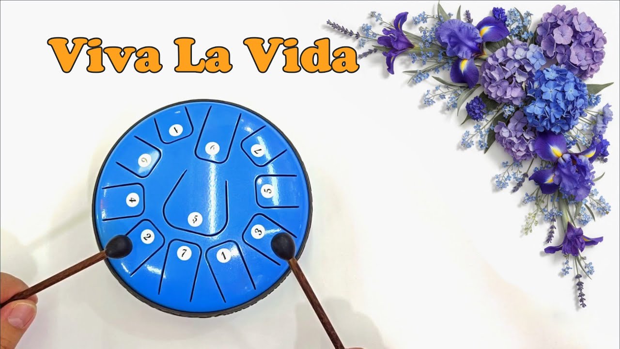 Viva La Vida (Coldplay) - 11 note steel tongue drum cover with tabs