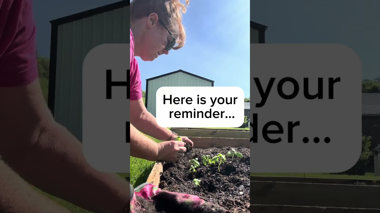 Glove or no glove: the gardener's dilemma 