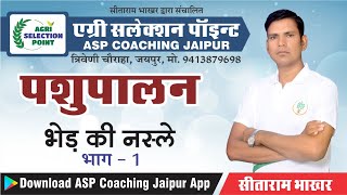 Sheep Breeds /भेड़ की नस्लें/ L-1/Sitaram Bhakar Sir / ASP Coaching Jaipur  ASP Jaipur screenshot 3