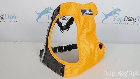 Sleepypod Clickit Terrain Dog Harness Review (2018)