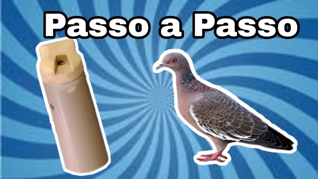 COMO FAZER PIO DE ASA BRANCA COM PVC E MADEIRA